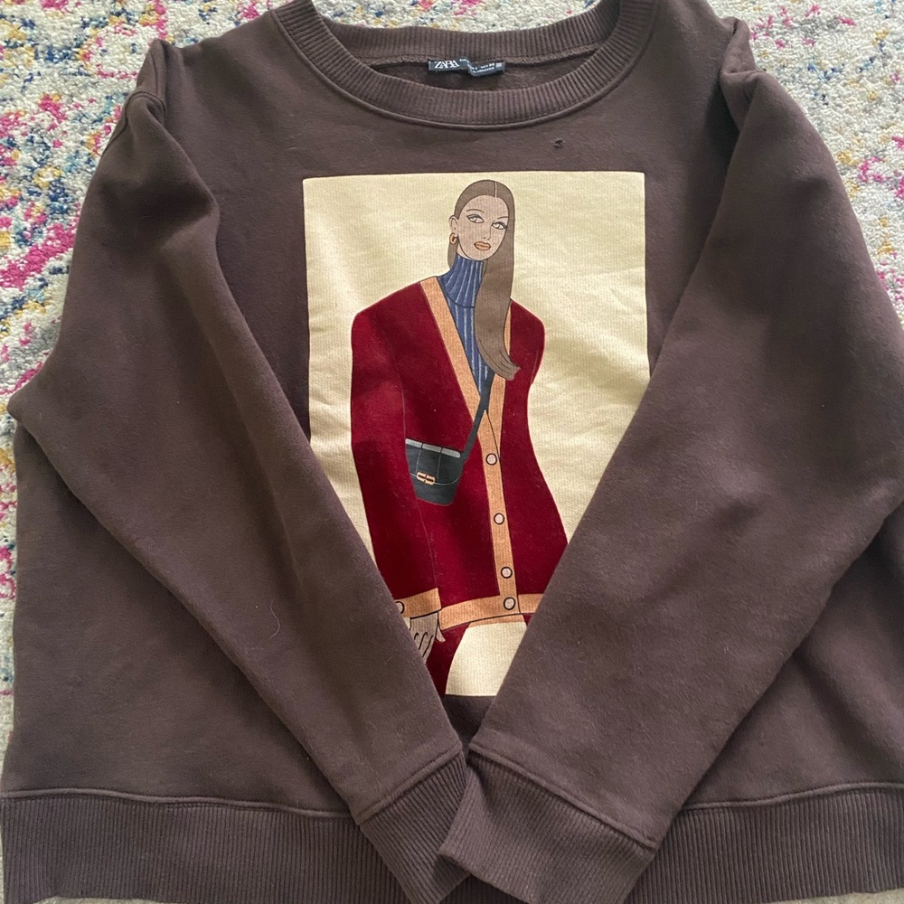 Zara Brown Graphic Sweatshirt